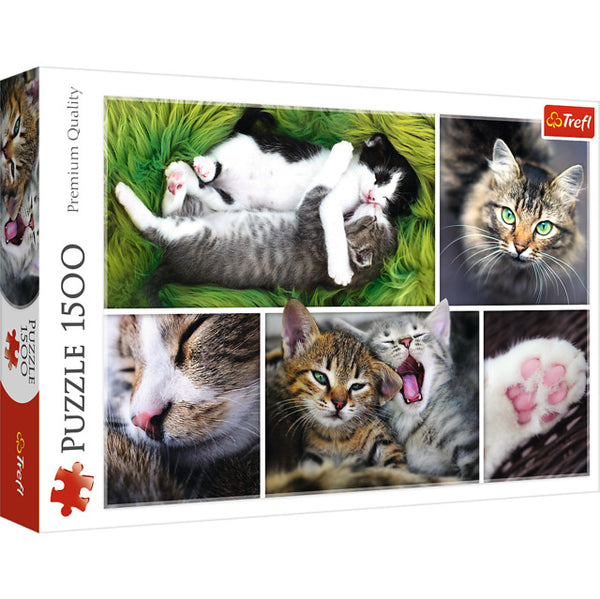 Trefl - 1500 pieces puzzles - Just Cat Things - Collage