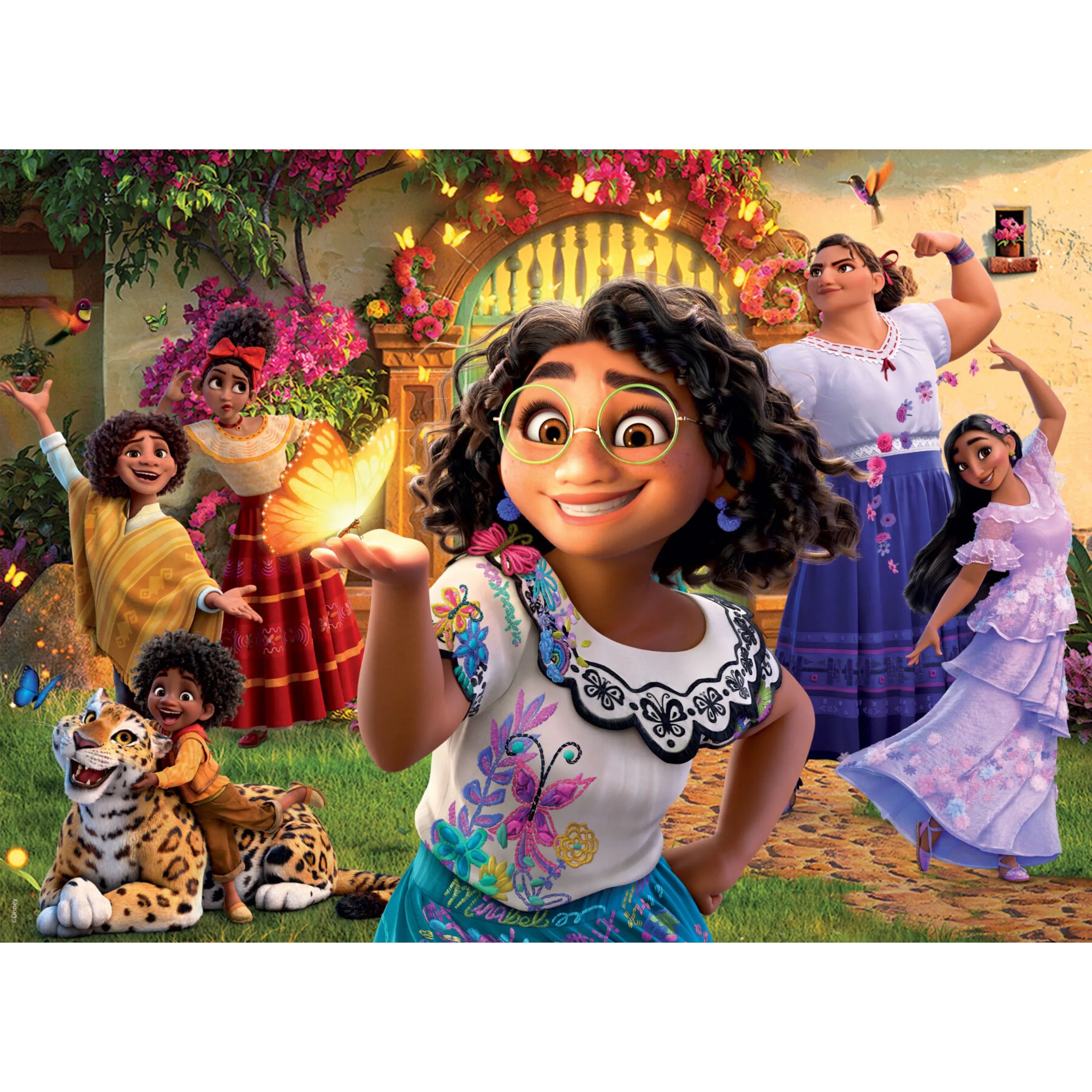 Disney Encanto x CAMP Artist Series 500 Pc Puzzle Ledania