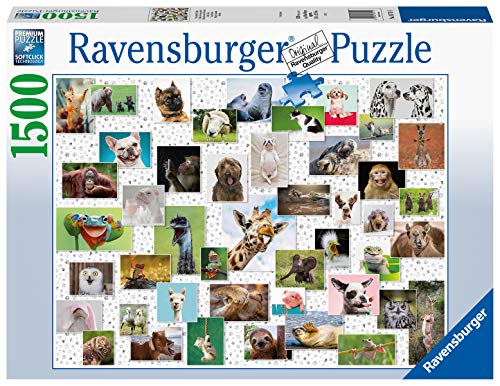 APPYTOYS.COM.MT | RAVENSBURGER PUZZLE 1500-piece puzzle - collage