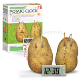 4m - Green Science - Potato Clock - Educational Toys - Ages +5