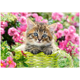 Castorland - 500 Piece Puzzle - Kitten in the Flower Garden